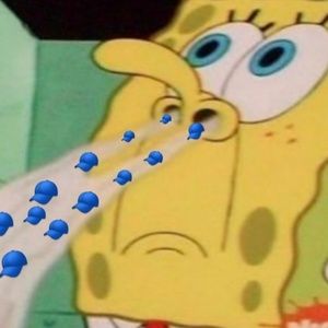 Meet your Posher, Kaya